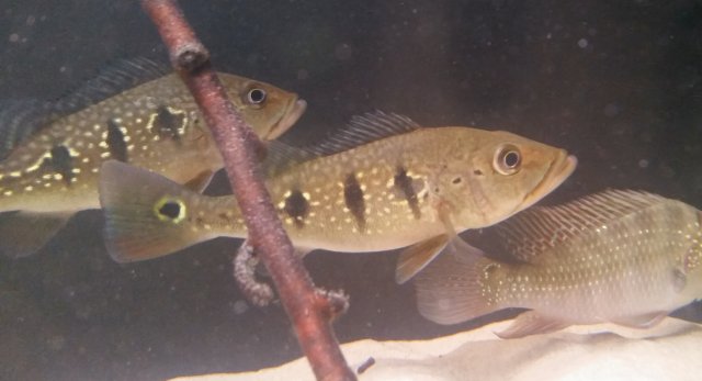 2016-01-18 21.51.03.jpg