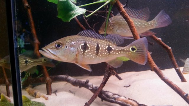 2016-01-18 21.48.35.jpg