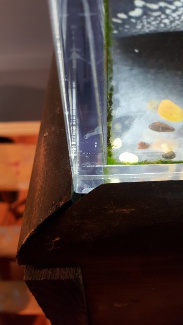 20160119_171220.jpg