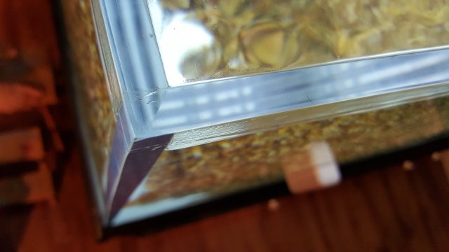 20160119_171304.jpg 20160119_171304.jpg