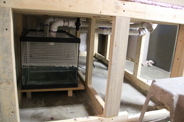 IMG_6271.JPG IMG_6271.JPG