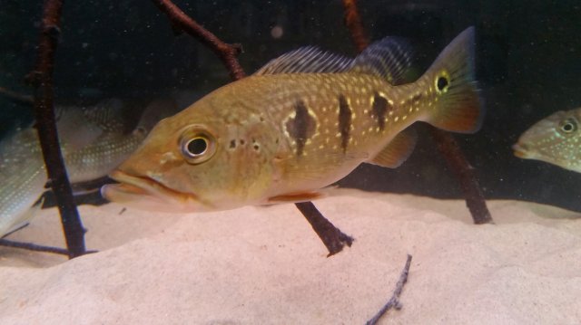 2016-01-20 13.34.28.jpg