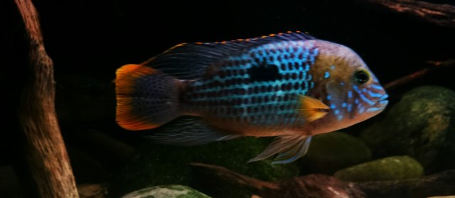 DSC_0008~2~2.jpg DSC_0008~2~2.jpg