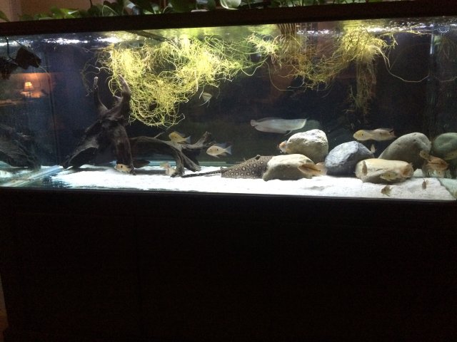 300 bright lights 1:19:16.JPG