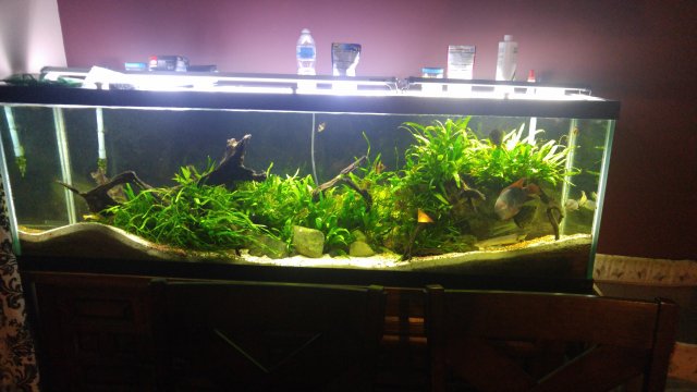 0120162041.jpg