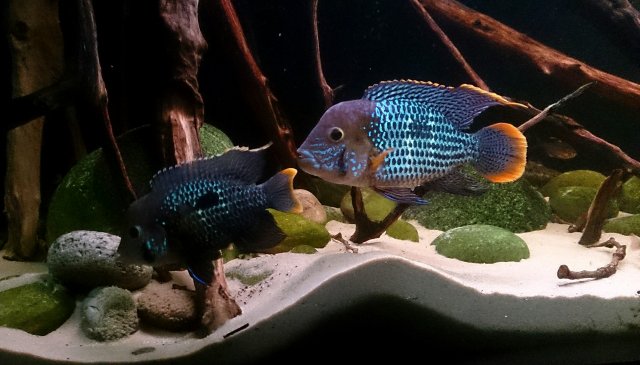 _20160107_174607.JPG _20160107_174607.JPG