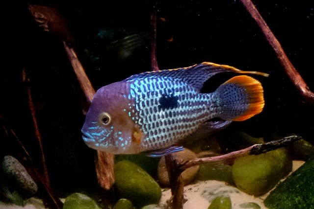 _20151226_084154.JPG _20151226_084154.JPG