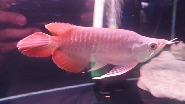 20160120_193514.jpg