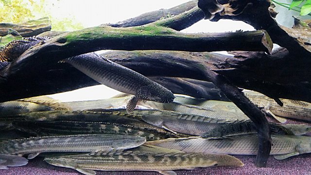 IMG_20160120_032723.jpg