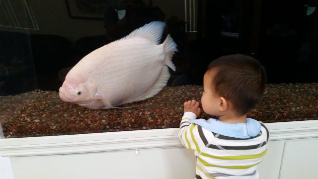 20151113_155754.jpg