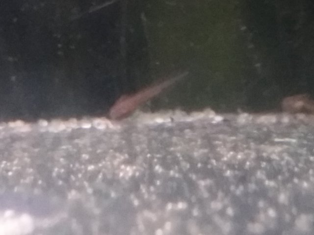 camera_2016-01-24_12-47-21.jpg