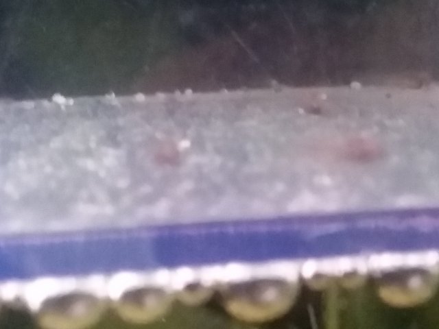 camera_2016-01-24_12-44-24.jpg
