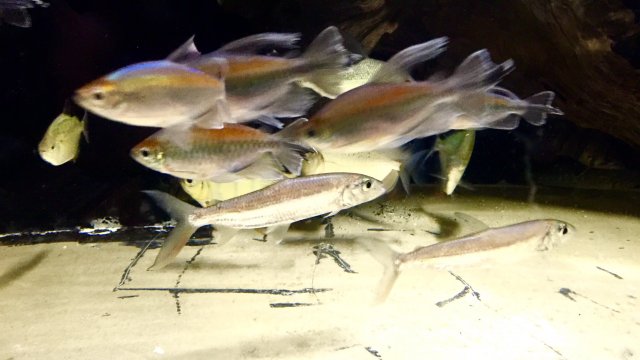 IMG_8778.JPG
