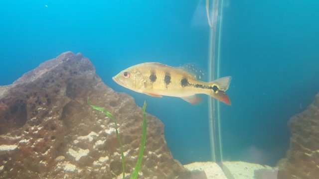 20160125_101605.jpg