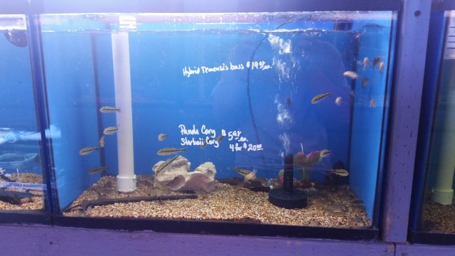20160126_143505.jpg