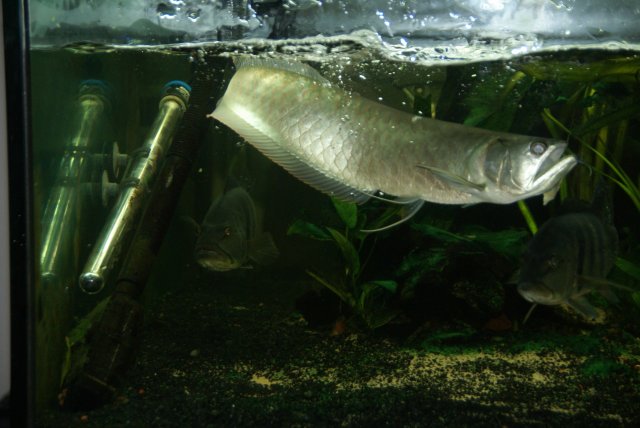 DSC01844.JPG DSC01844.JPG