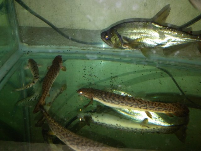 20160120_211810.jpg 20160120_211810.jpg