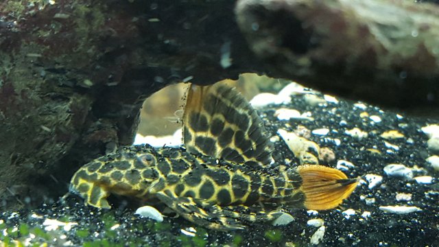 20160128_191120.jpg