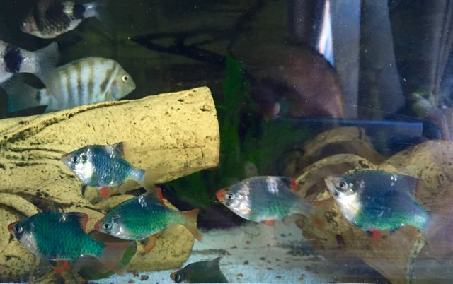 image.jpeg image.jpeg