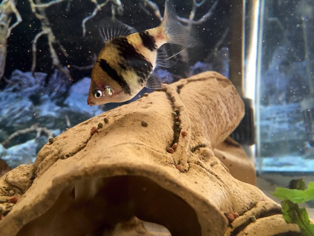 image.jpeg image.jpeg