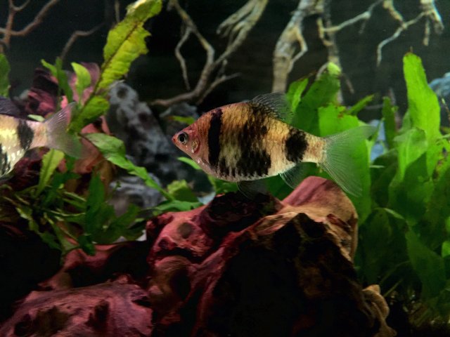 image.jpeg image.jpeg