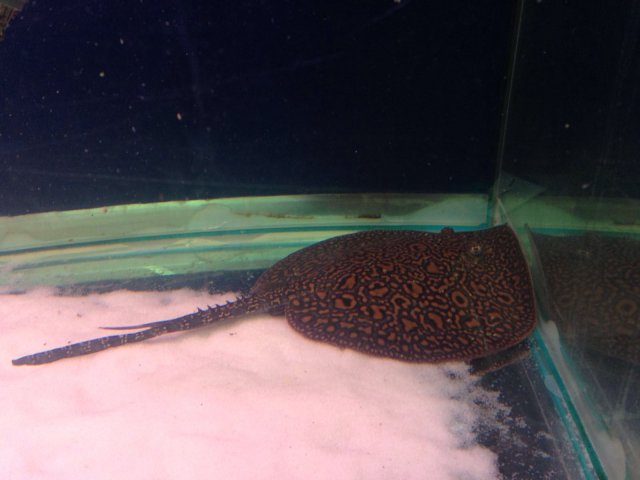 20160131061451.jpg
