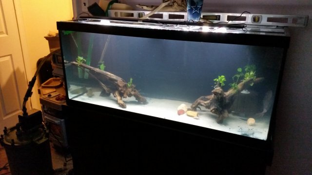 20160131_161514.jpg