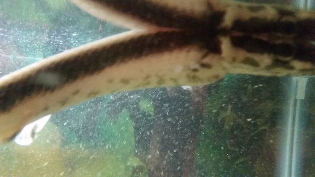 20160201_213415.jpg