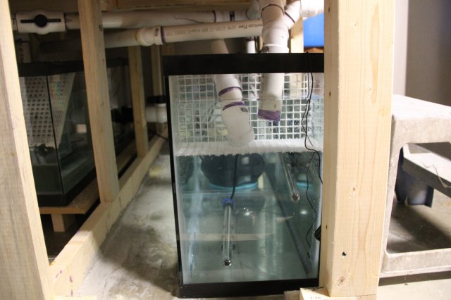 IMG_6277.JPG IMG_6277.JPG