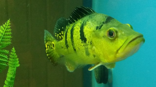 20160202_172118.jpg