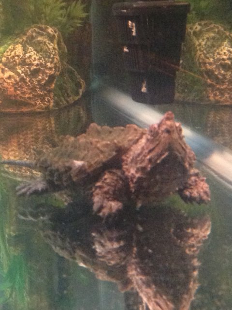 image.jpeg image.jpeg