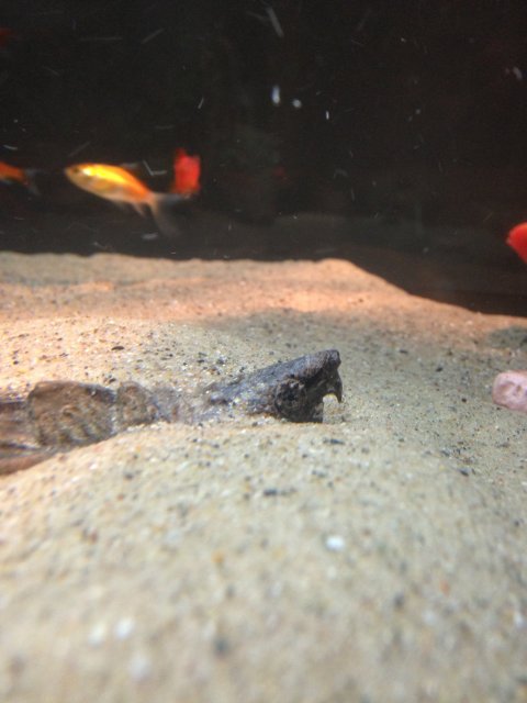 image.jpeg image.jpeg