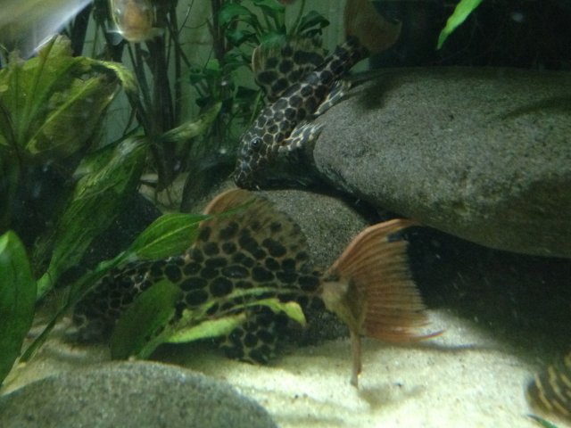 image.jpeg image.jpeg