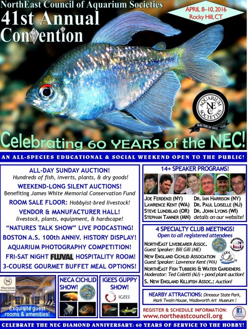 NEC 2016 Convention Flyer 2-4-16.jpg