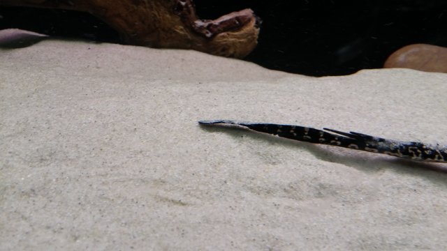 20160206_213410_HDR.jpg