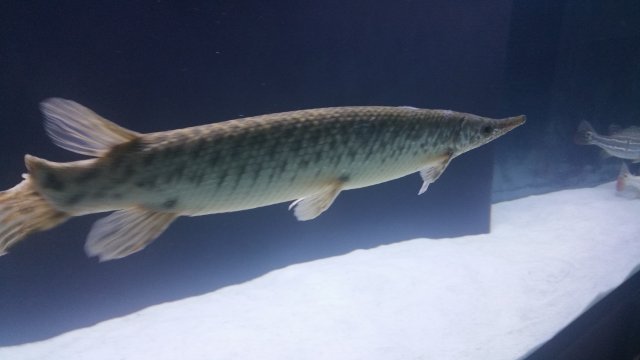 20160206_200251.jpg