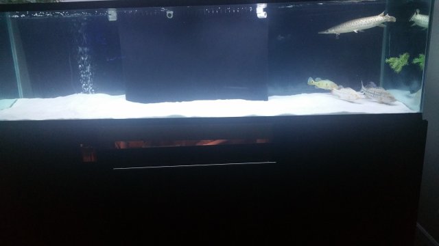 20160206_200309.jpg