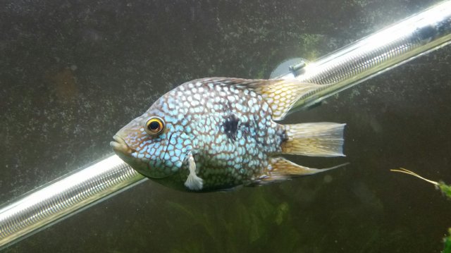 2016-02-06 22.25.53.jpg