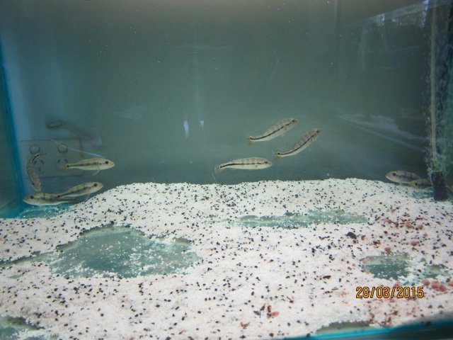 004.JPG
