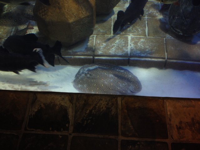photo 2_1.JPG