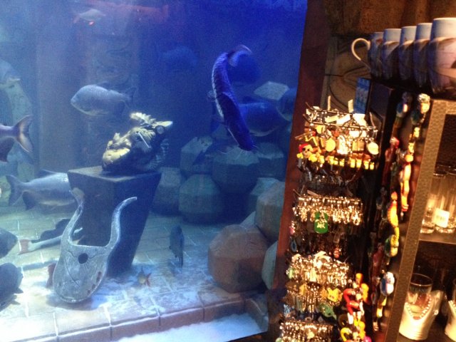 photo 3_1.JPG