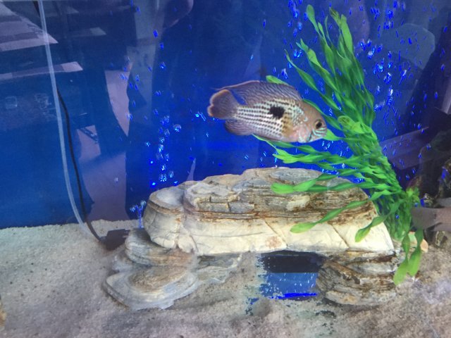 IMG_1103.jpg IMG_1103.jpg