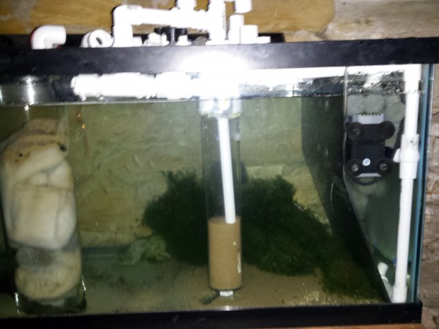 Contained Carbon dosing in freshwater aquarium. | MonsterFishKeepers.com