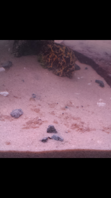 Screenshot_2016-02-12-15-57-52.png Screenshot_2016-02-12-15-57-52.png