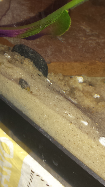 Screenshot_2016-02-12-15-57-36.png Screenshot_2016-02-12-15-57-36.png