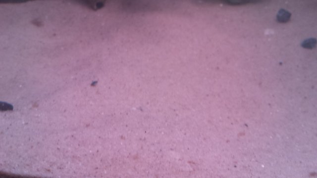 20160212_154222.jpg 20160212_154222.jpg