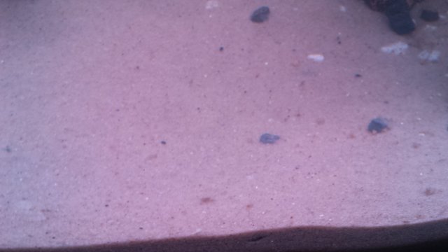 20160212_154259.jpg 20160212_154259.jpg