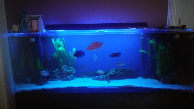 20160123_141435_HDR.jpg