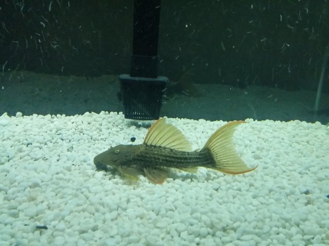 20160210_173656_HDR.jpg