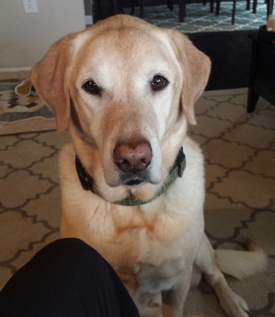 20160117_141639-1.jpg 20160117_141639-1.jpg